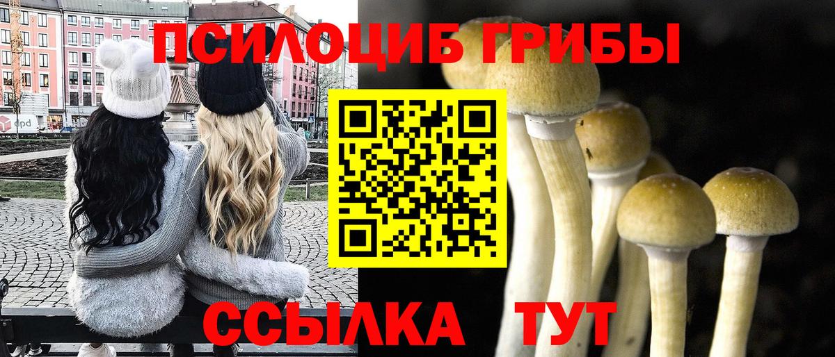 Мариинск  Псилоцибиновые грибы ЛСД  Вход с VPN 