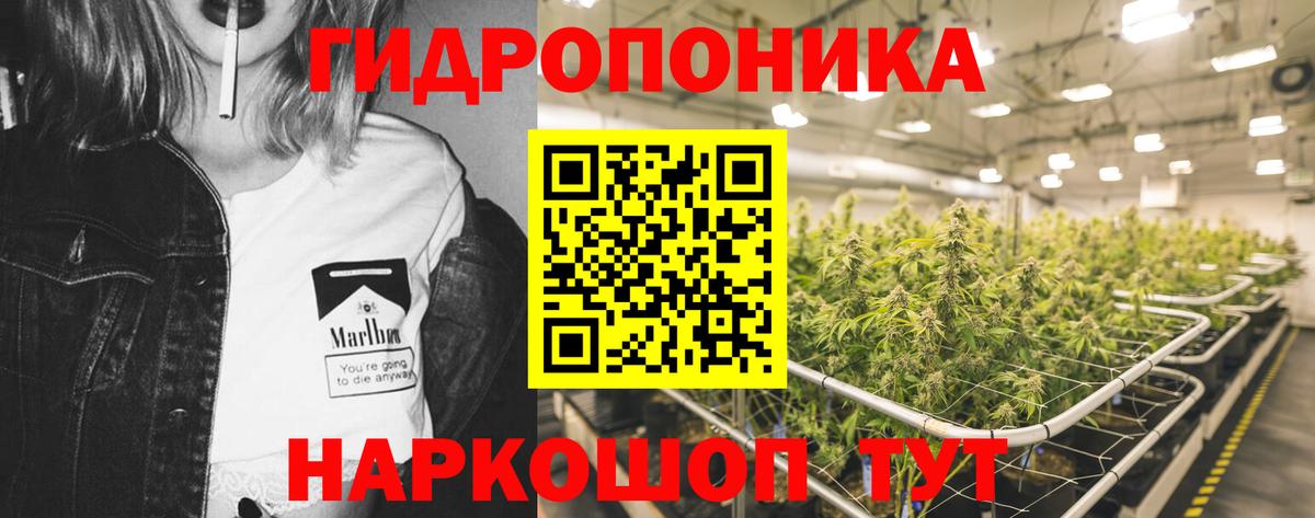 Конопля марихуана  Конопля семена  Мариинск  Вход с VPN  Шишки марихуана White Widow 